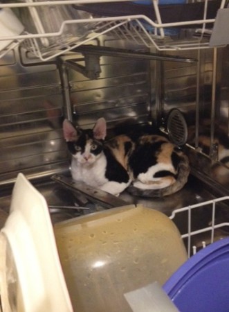 Ok Ronda, man kan välja olika sovplatser, men diskmaskinen?